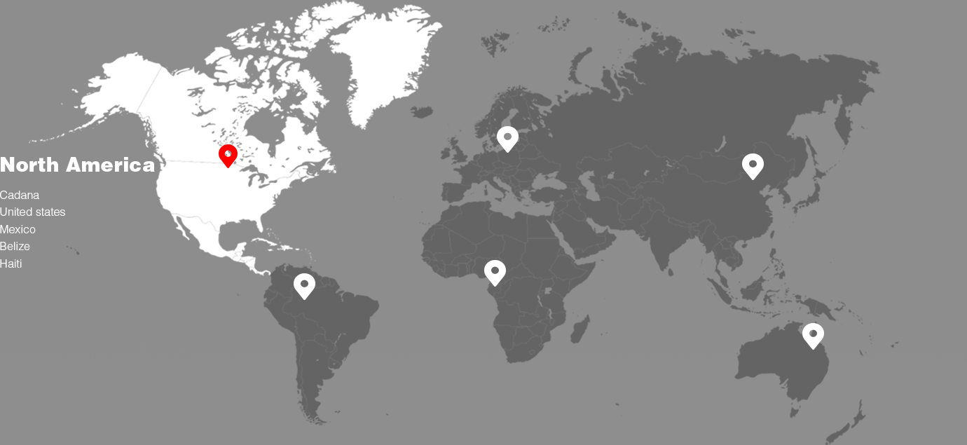 Available in over 140 countries and regions across five continents for different market needs.